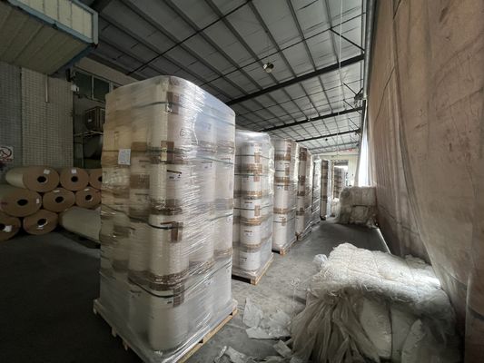 Digital Printing Film – Precision Meets Versatility for Modern Printing Solutions